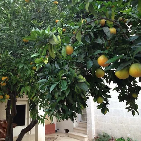 Casa Marilla